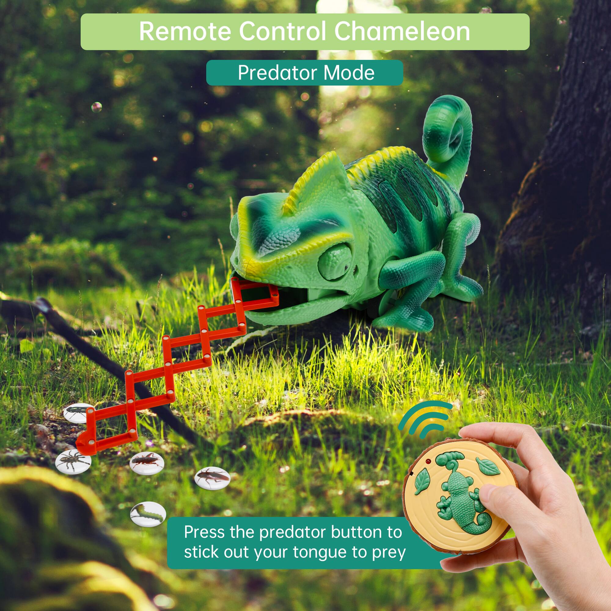 Remote Control Chameleon  
Predator Mode  

Press the predator button to stick out your tongue to prey