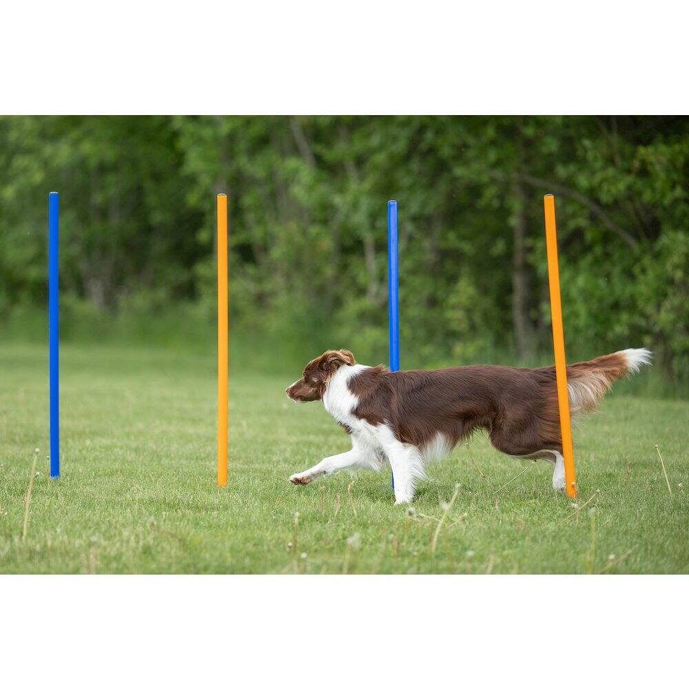 Left. TRIXIE - Dog Agility Slalom Set, 12 Piece Weaving Poles - Blue/Orange.