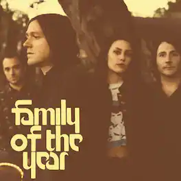Family of the Year - Family of the Year - VINYL LP