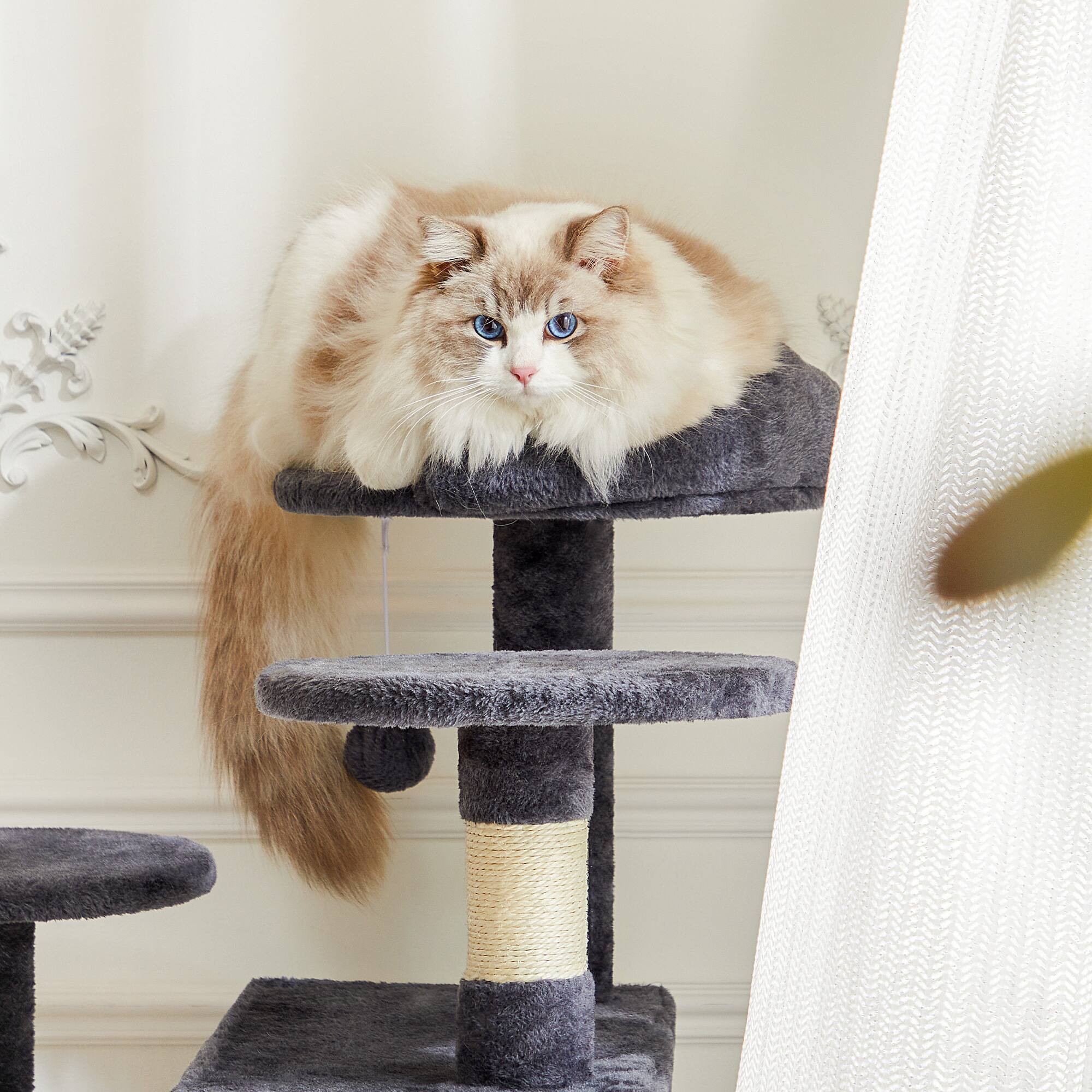 Back. AENKYO - 80" Tall Cat Tree Multi-Cat Climbing Pet House with Scratching Post for Indoor - Gray.