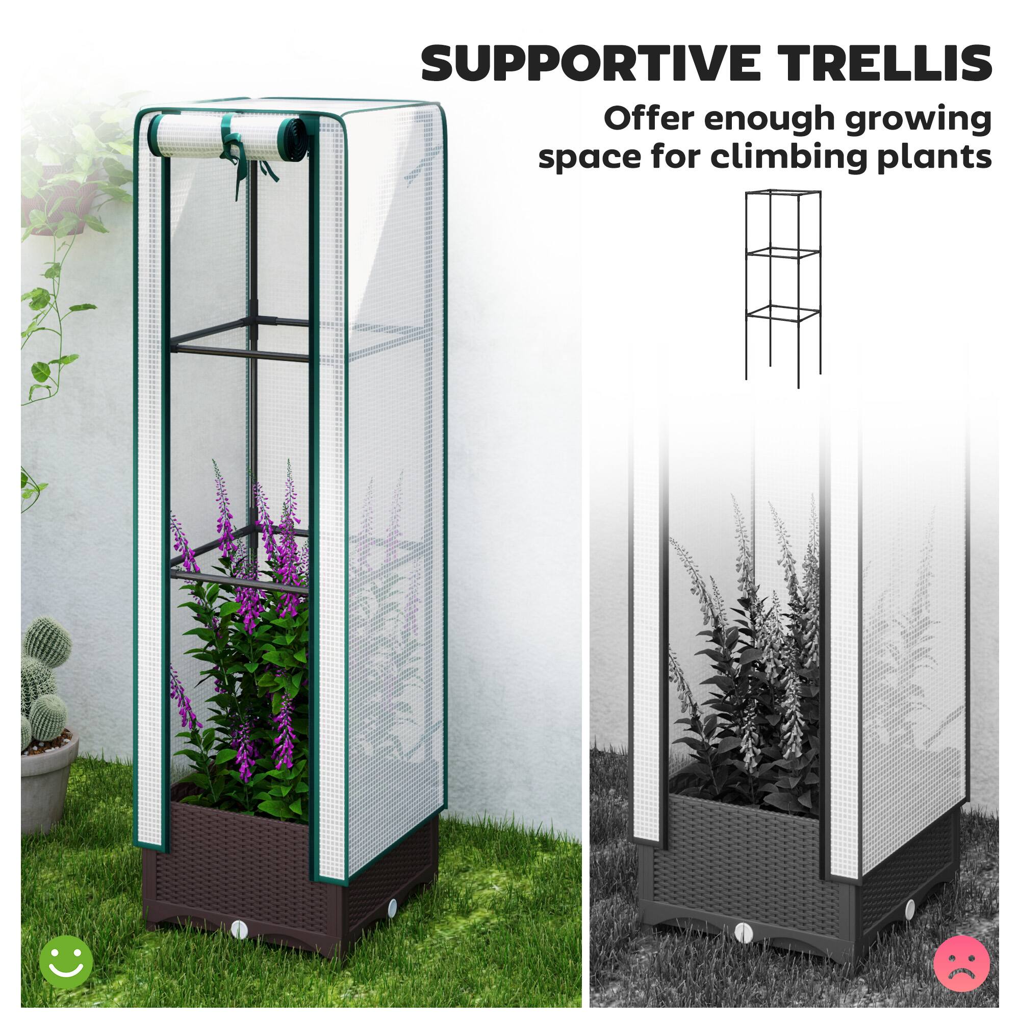 SUPPORTIVE TRELLIS
Offer enough growing space for climbing plants
