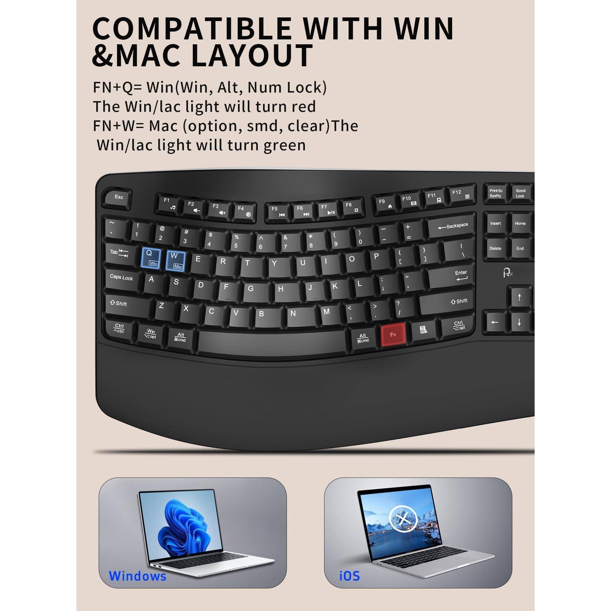 COMPATIBLE WITH WIN & MAC LAYOUT

FN+Q = Win (Win, Alt, Num Lock)  
The Win/lac light will turn red

FN+W = Mac (option, smd, clear)  
The Win/lac light will turn green

Windows  
iOS