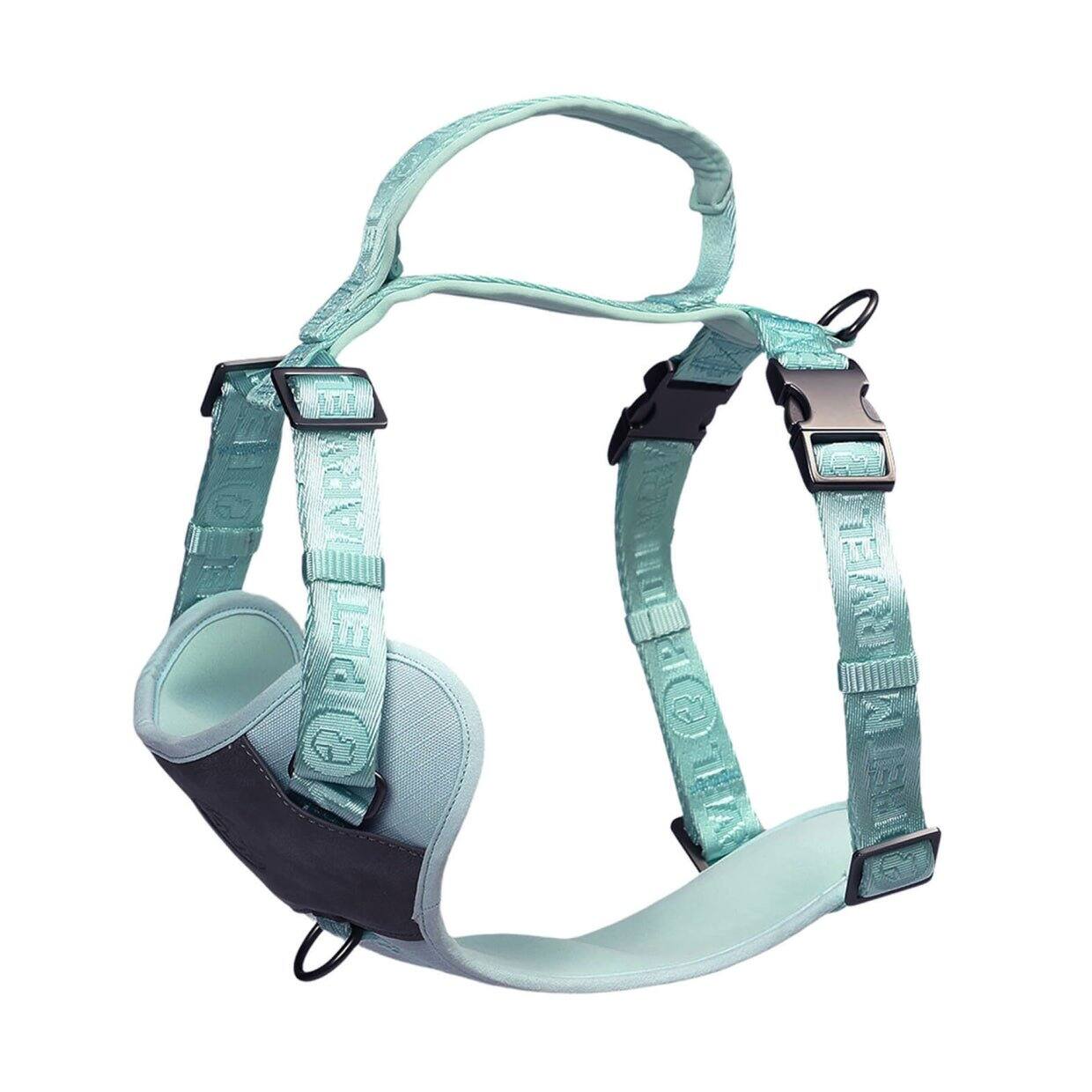 PET MARVEL - Adjustable Embroidered Stylish Dog Harness, XL - Mint Green