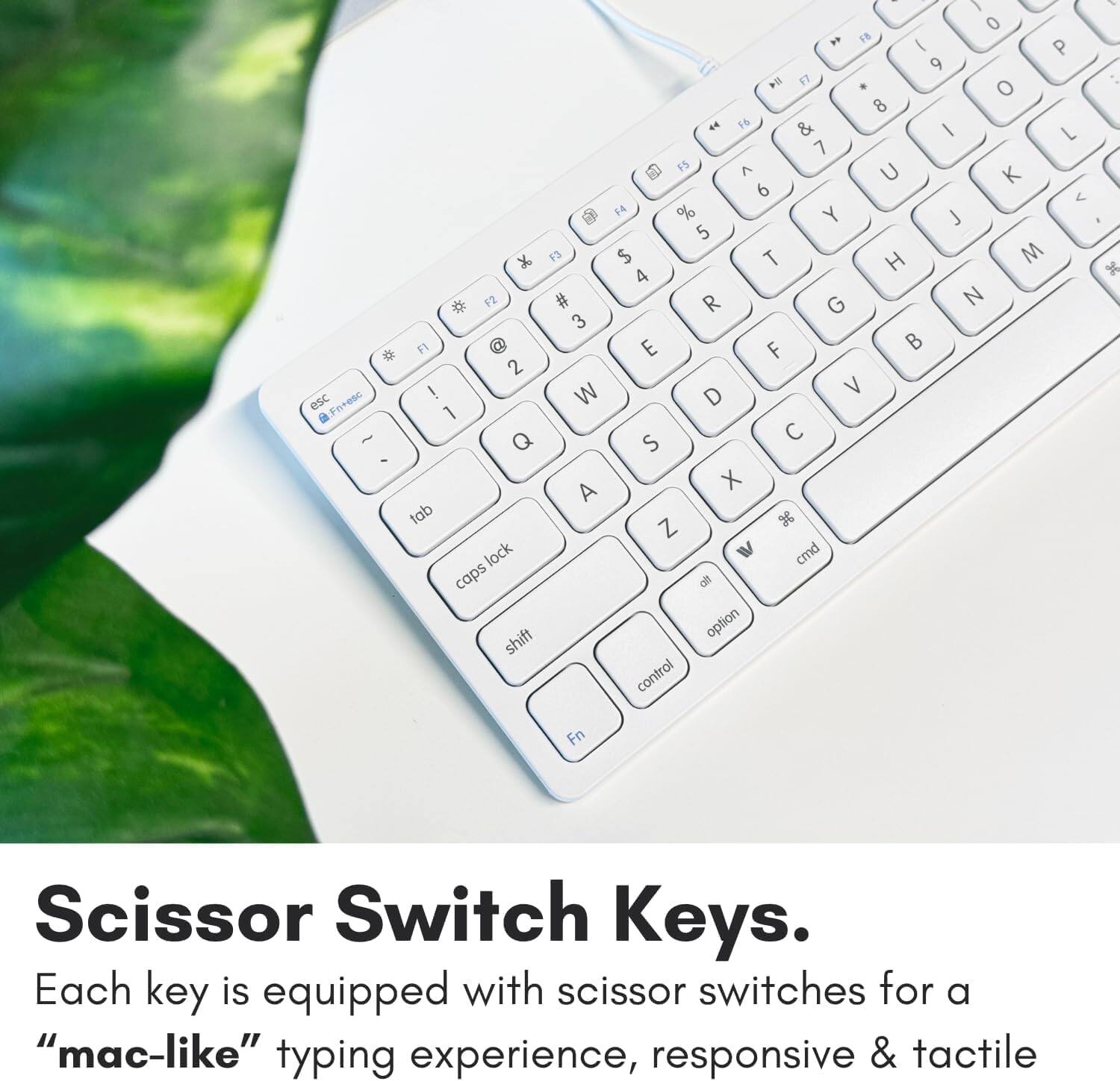 Each key is equipped with scissor switches for a "mac-like" typing experience, responsive & tactile.