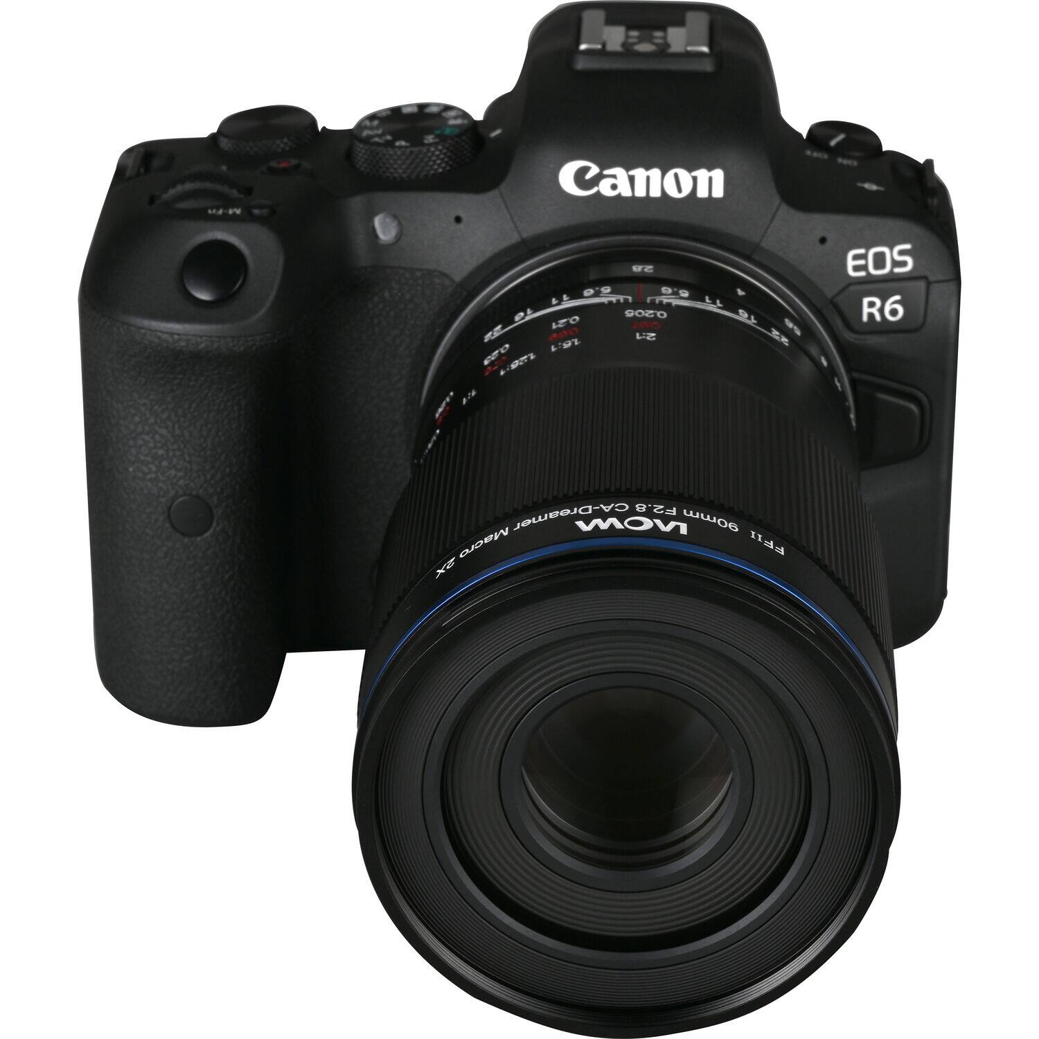 Canon EOS R6 with a 90mm Macro lens, F2.0
