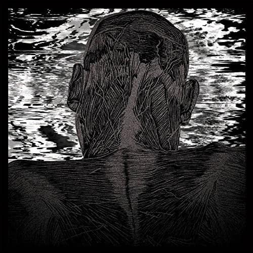 Asher Levitas - Lit Harness   - VINYL LP price history on PriceWatchPro