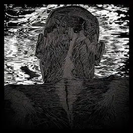 Asher Levitas - Lit Harness - VINYL LP