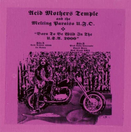 History Of Acid Mothers Temple  二枚組DVD History Of Acid Mothers Temple 二枚組DVD History Of Acid