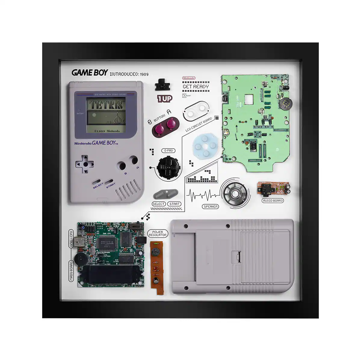 GAME BOY  
INTRODUCED: 1989  

Nintendo GAME BOY...  

1UP  
A BUTTON  
B BUTTON  
SELECT  
START  
D-PAD  

GET READY  
SPEAKER  

AUDIO BOARD  
SPEAKER  

LCD CIRCUIT BOARD  

REGULATOR  

2003/05/13