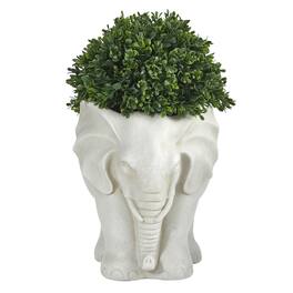 BreeBe - 16" Boxwood Topiary Plant in Planter UV (Indoor/Outdoor) - Green