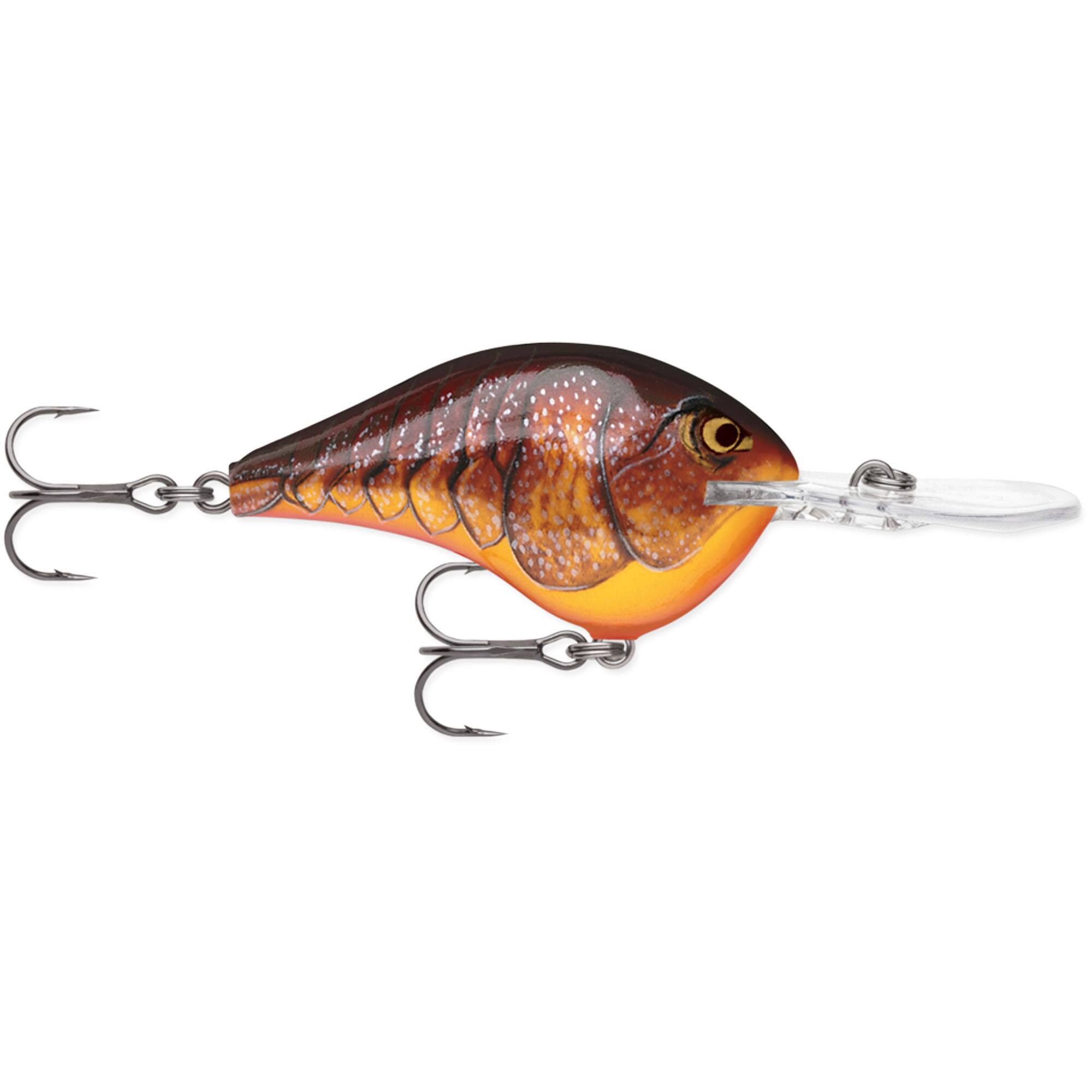 Dark Brown Crawdad