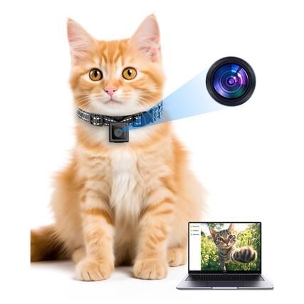 Front. Leash Valley - Cat Camera Collar For Video Recording - No App Wifi 1080p Cordless Pet Cameras Outdoor -size Cats Dogs - no Sd Card - XS.