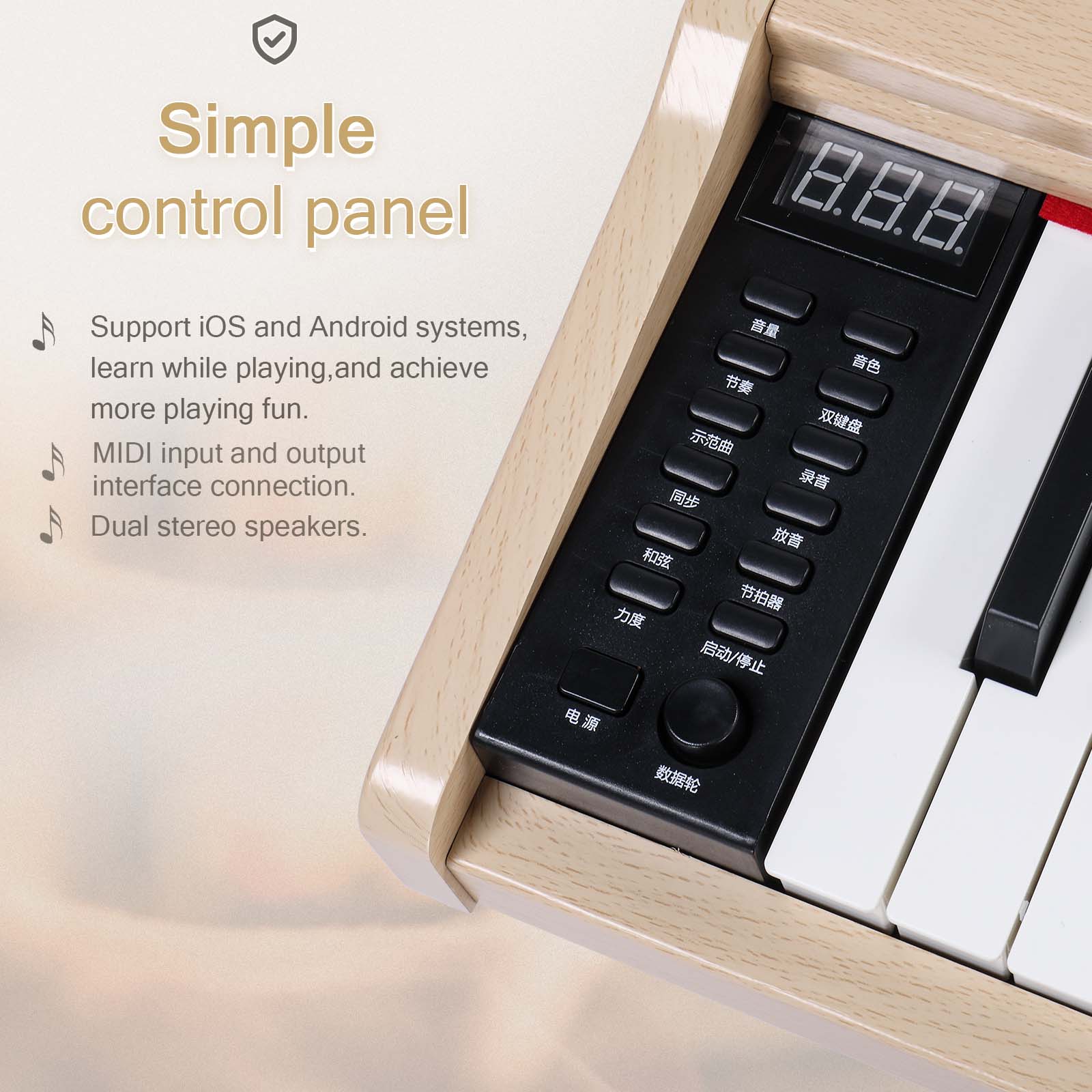 Simple control panel

Support iOS and Android systems, learn while playing, and achieve more playing fun. MIDI input and output interface connection. Dual stereo speakers.
