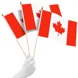 G128 - 10-Pack 12 x 18 in Canada Handheld Stick Flags - Red and White