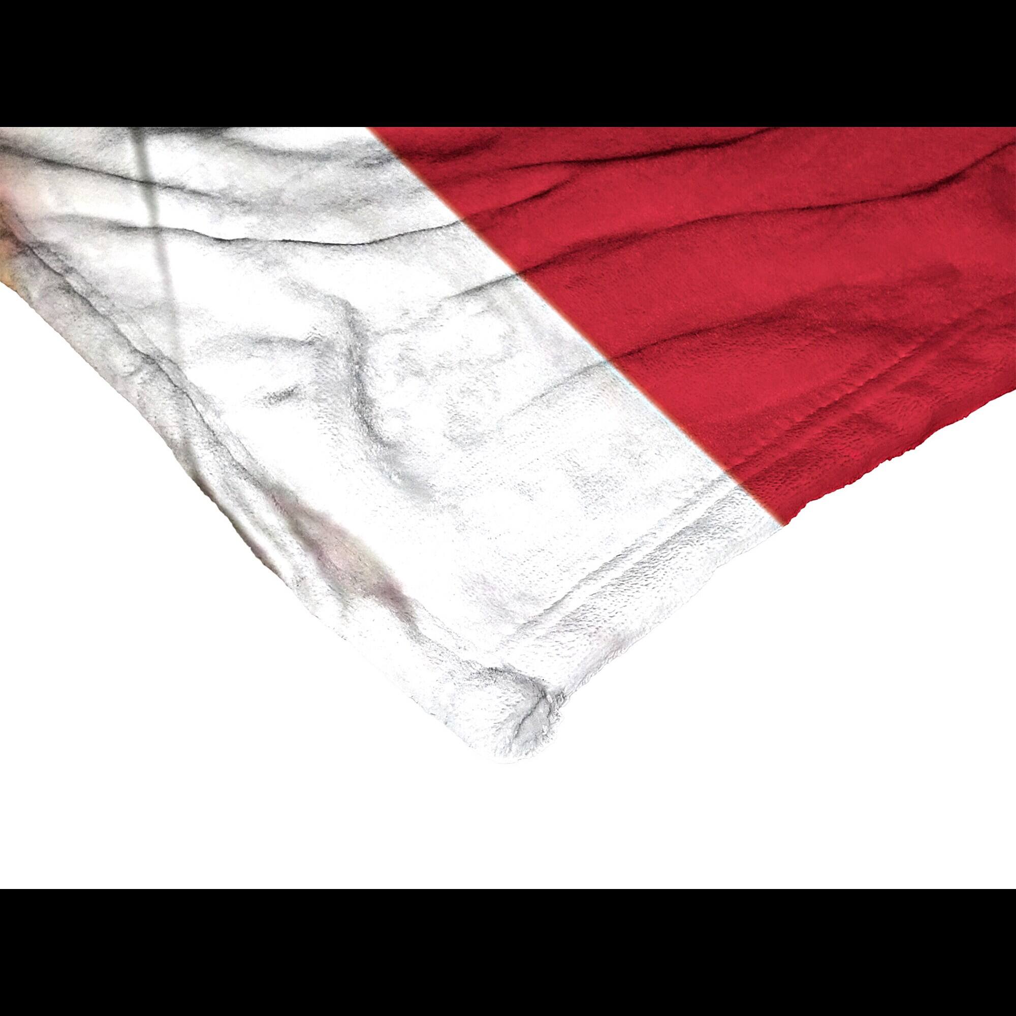 Alt View 1. Northwest - Ronald Acu-a Jr. Atlanta Braves 50" x 60" Silk Touch Throw Blanket - Multicolor.