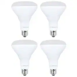 VIRIBRIGHT - BR30 LED Bulb, E26, Screw Base, 700 Lumens, CEC, 90+ CRI, Daylight (4-Pack) - 5000K