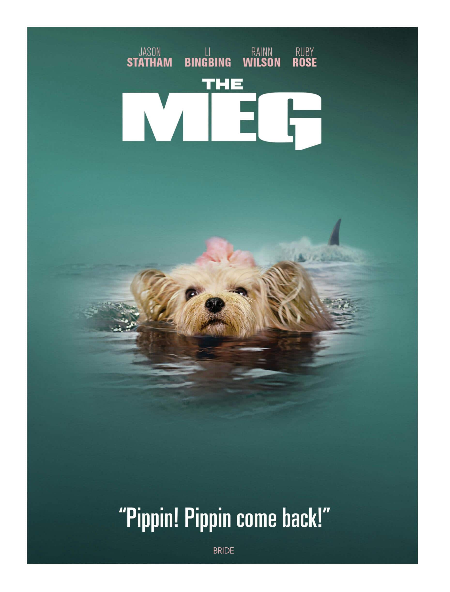 The Meg (IconicMoment Look) [DVD] [DVD]