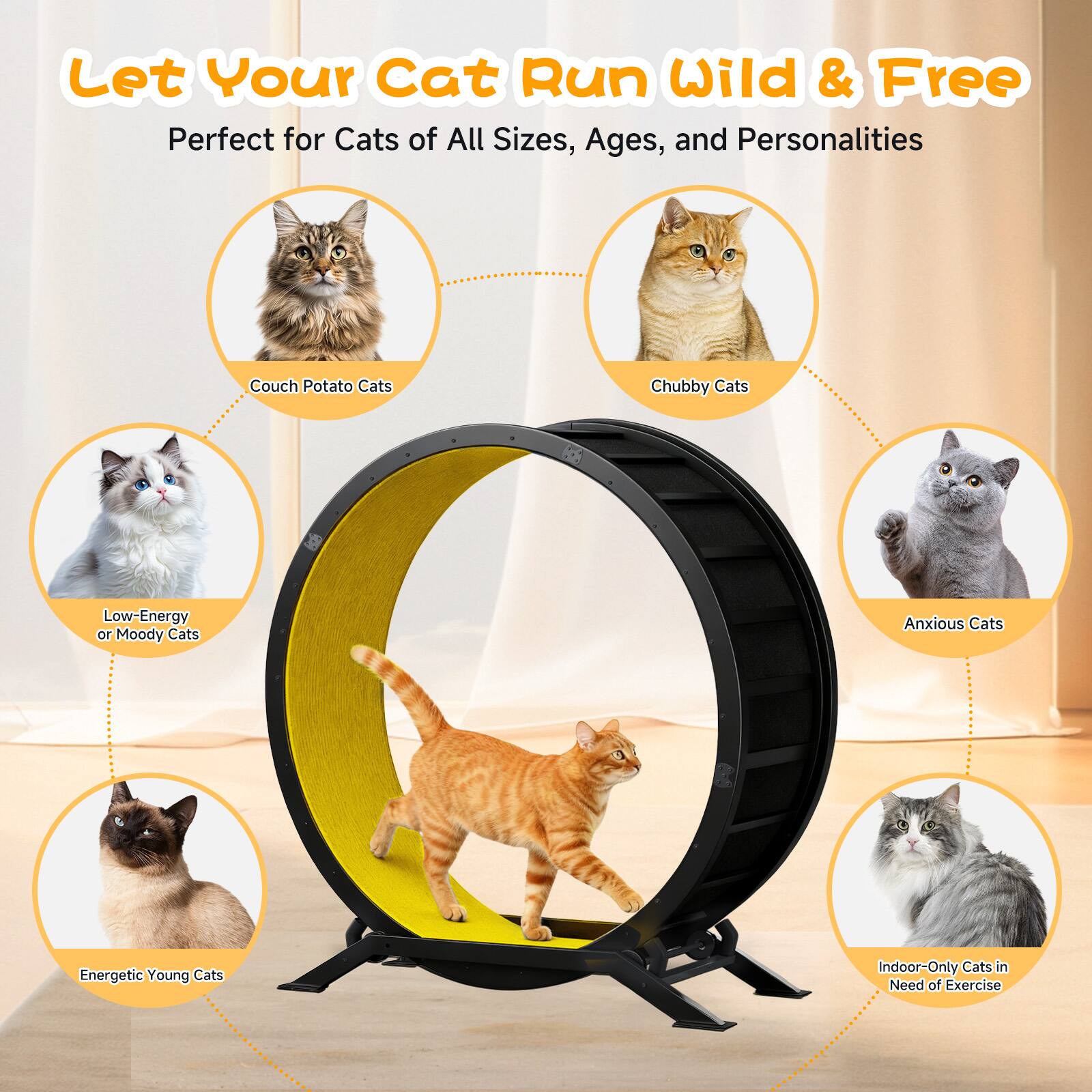 Let Your Cat Run Wild & Free  
Perfect for Cats of All Sizes, Ages, and Personalities  

- Couch Potato Cats  
- Chubby Cats  
- Low-Energy or Moody Cats  
- Anxious Cats  
- Energetic Young Cats  
- Indoor-Only Cats in Need of Exercise