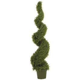 BreeBe - 5' Rosemary Spiral Tree w/2184 Lvs - Green