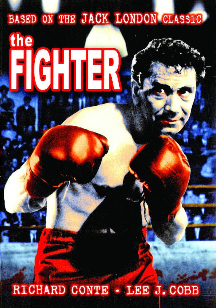 The Fighter - DVD price history on PriceWatchPro