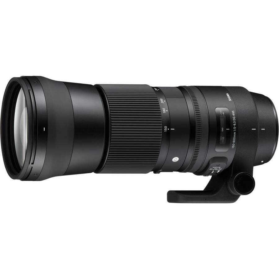 SIGMA 150-600mm F5-6.3 DG Fマウント Sigma 150 600mm F5 6.3 SIGMA 150-600mm F5-6.3 DG Fマウント Sigma 150 600mm F5 6.3