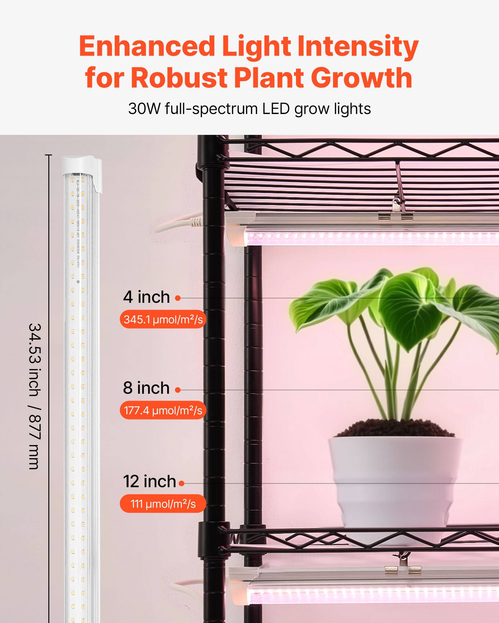 Enhanced Light Intensity for Robust Plant Growth  
30W full-spectrum LED grow lights  

34.53 inch / 877 mm  

4 inch - 345.1 μmol/m²/s  
8 inch - 177.4 μmol/m²/s  
12 inch - 111 μmol/m²/s