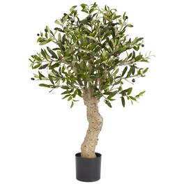 BreeBe - 2.5' Olive Tree w/690 Lvs & 43 Berries - Green