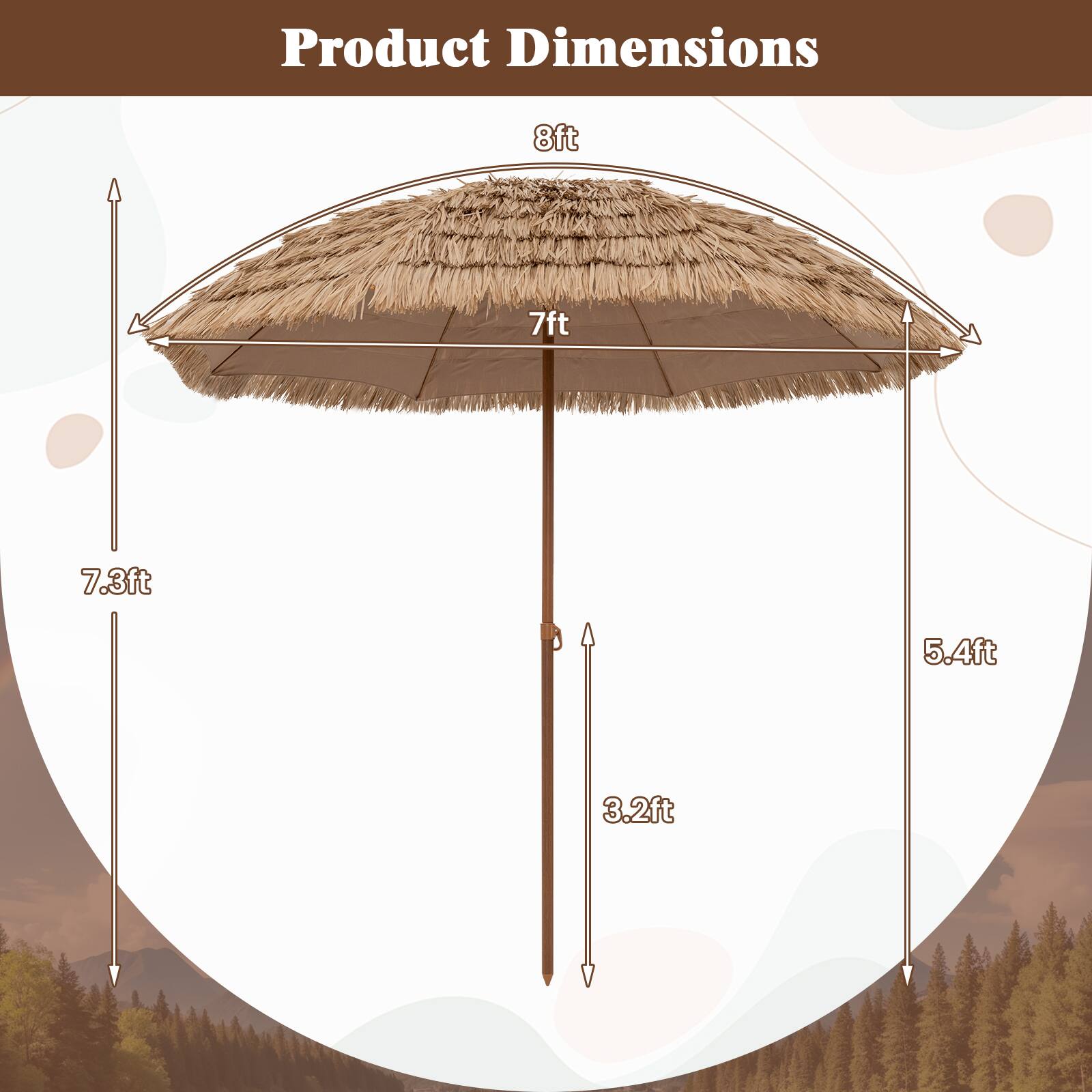 Product Dimensions: 8ft, 7ft, 7.3ft, 5.4ft, 3.2ft