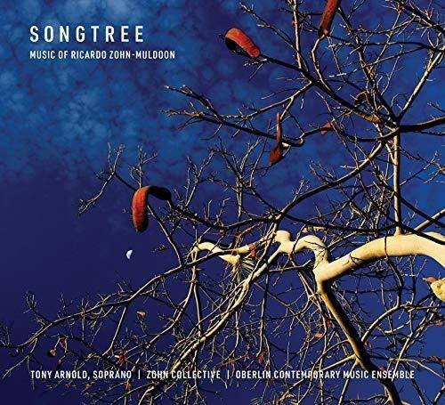 Muldoon / Brown - Songtree   - COMPACT DISCS [CD] price history on PriceWatchPro