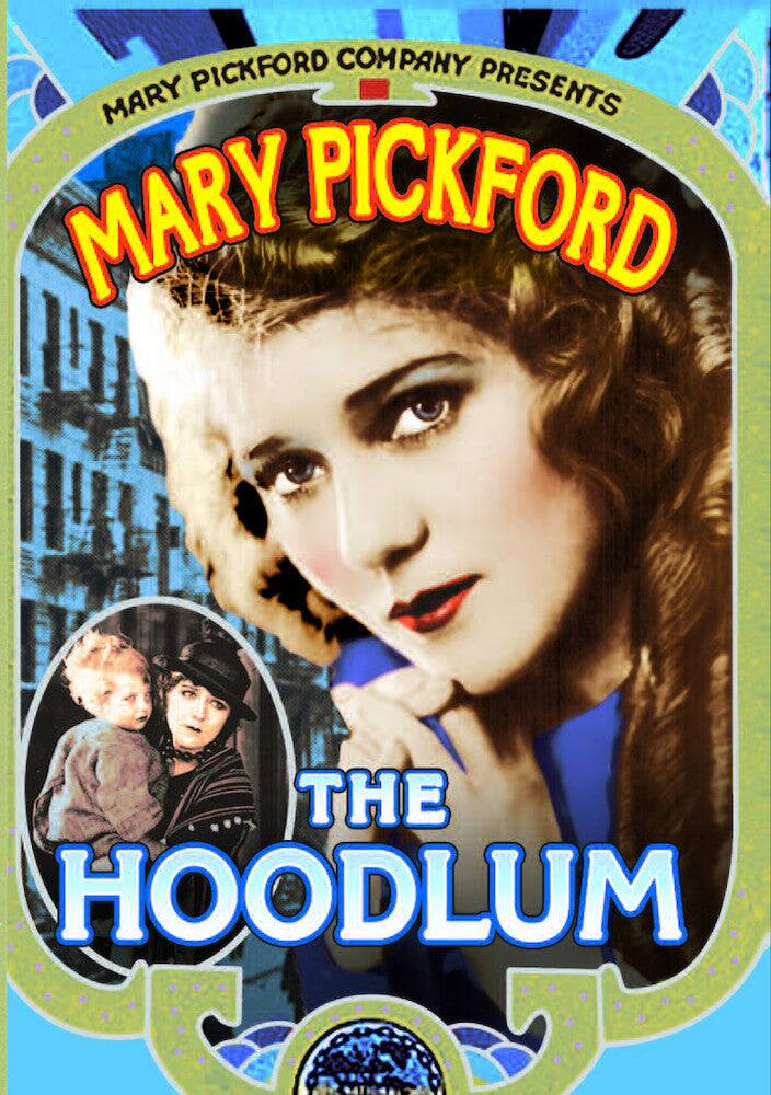 The Hoodlum (Silent) - DVD price history on PriceWatchPro