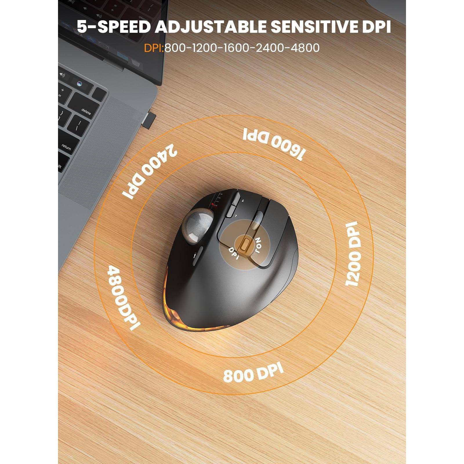 5-SPEED ADJUSTABLE SENSITIVE DPI  
DPI: 800-1200-1600-2400-4800  

800 DPI  
1200 DPI  
1600 DPI  
2400 DPI  
4800 DPI