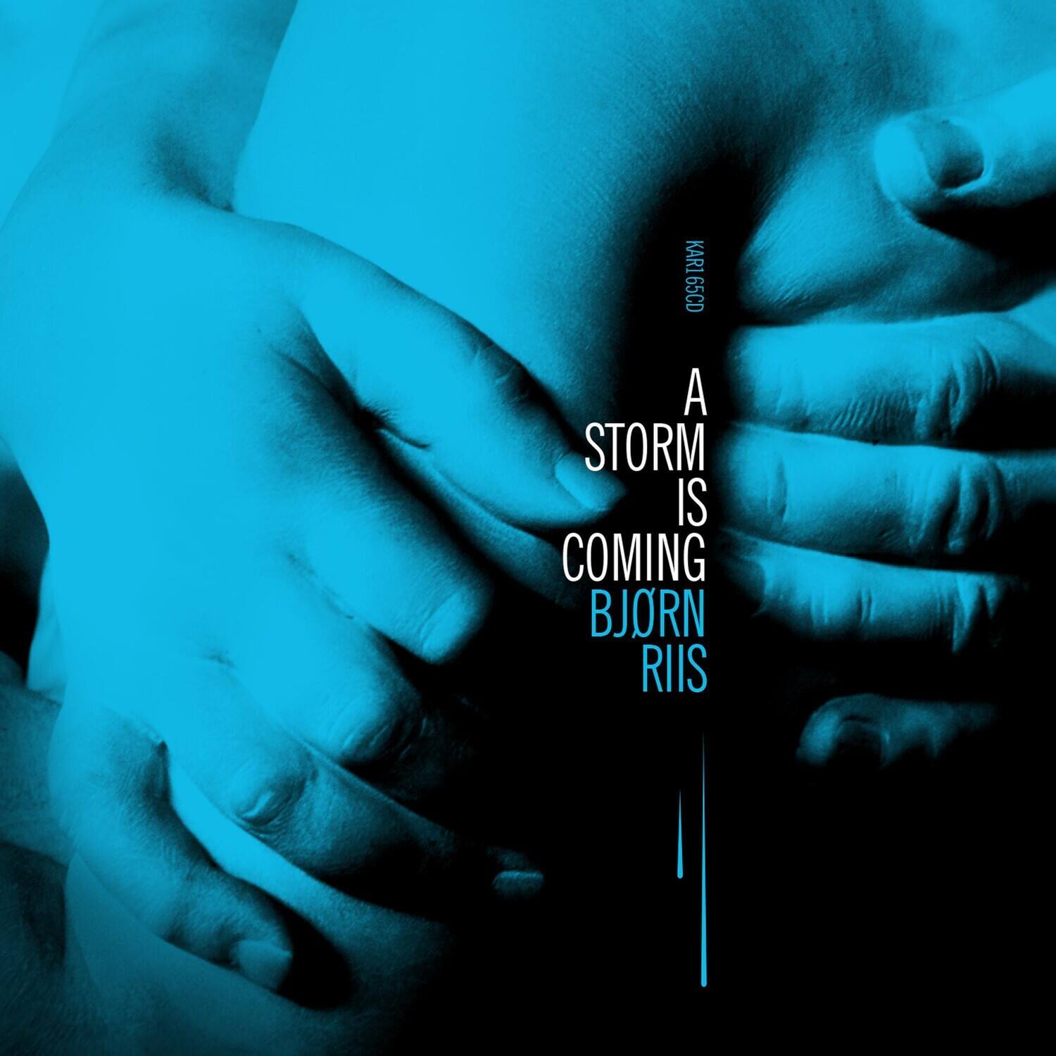 Bjorn Riis - Storm Is Coming   - COMPACT DISCS [CD] price history on PriceWatchPro