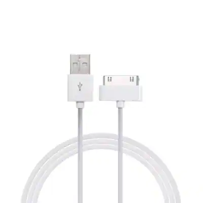 Cavo di ricarica USB da 30 pin per iPhone 4 4S 3G 3GS iPad Cavo di ricarica USB da 30 pin per iPhone 4 4S 3G 3GS iPad