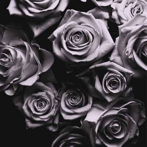 Zomby - With Love   - VINYL LP price history on PriceWatchPro