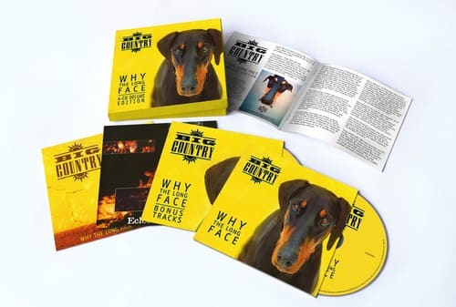 Big Country - Why The Long Face   - COMPACT DISCS [CD] price history on PriceWatchPro