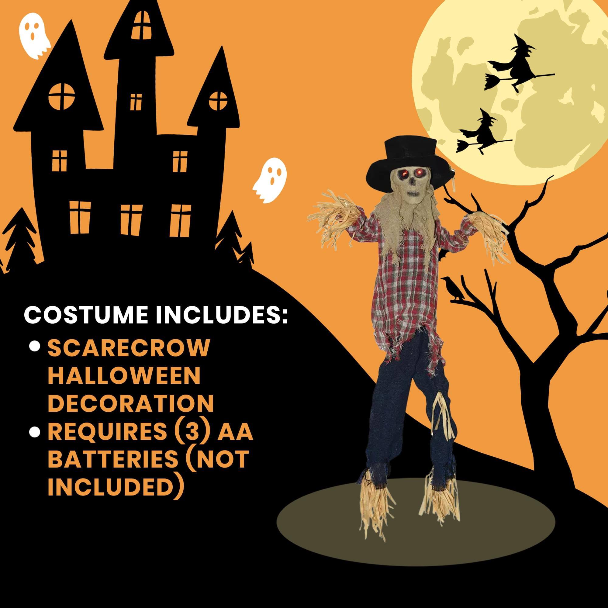 COSTUME INCLUDES:  
- SCARECROW  
- HALLOWEEN DECORATION  
- REQUIRES (3) AA BATTERIES (NOT INCLUDED)