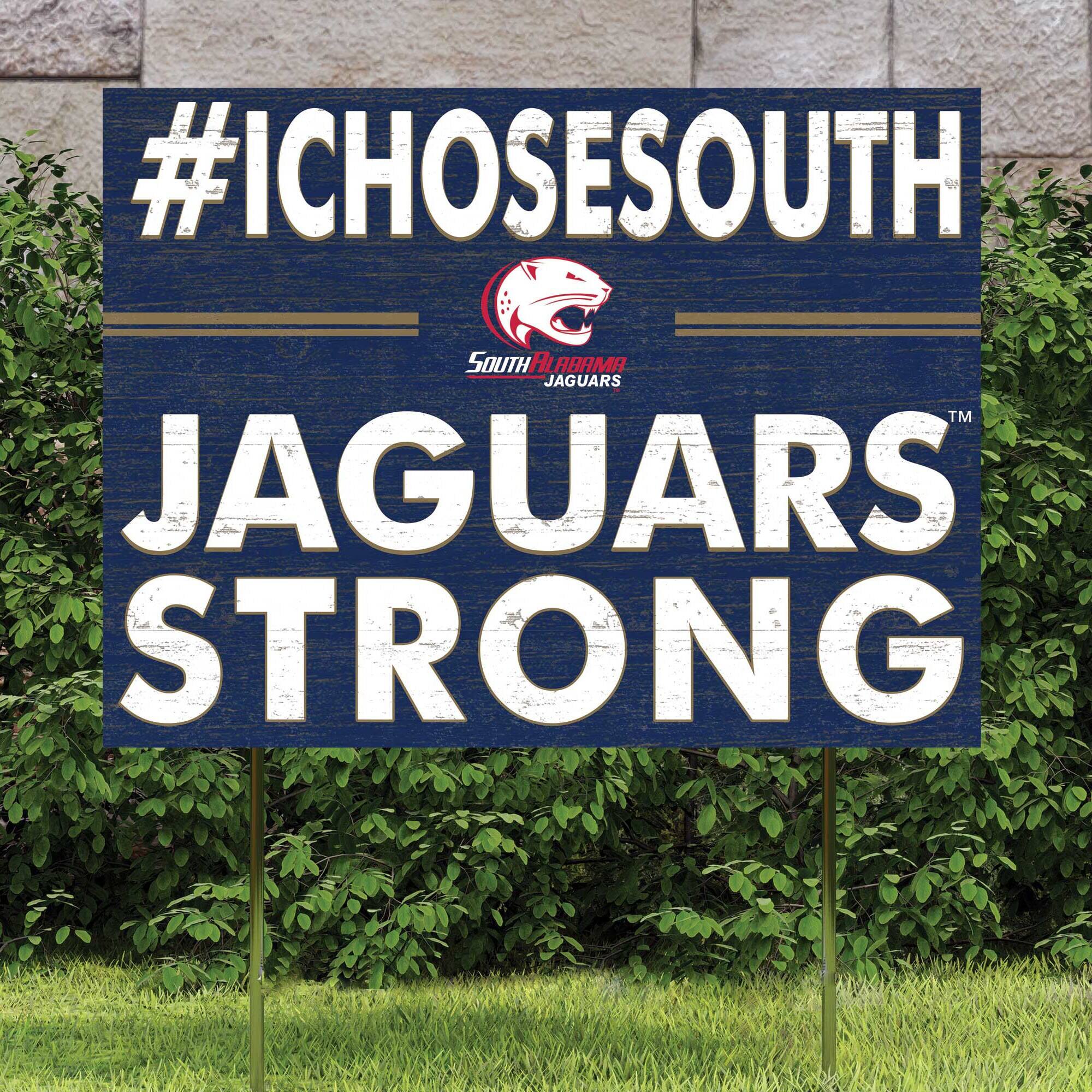 #ICHOSOUTH  
SOUTH ALABAMA JAGUARS  
JAGUARS STRONG