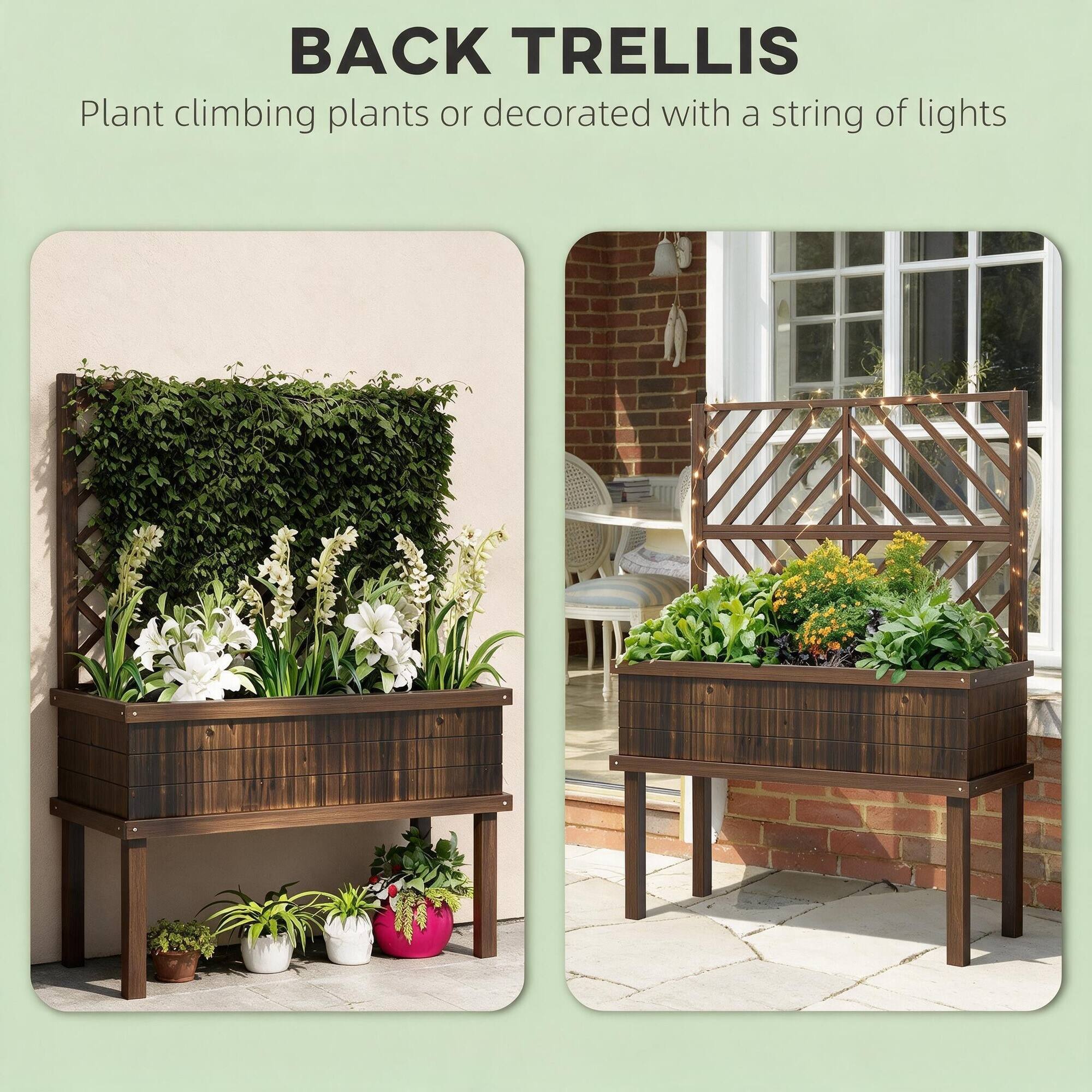 BACK TRELLIS  
Plant climbing plants or decorated with a string of lights
