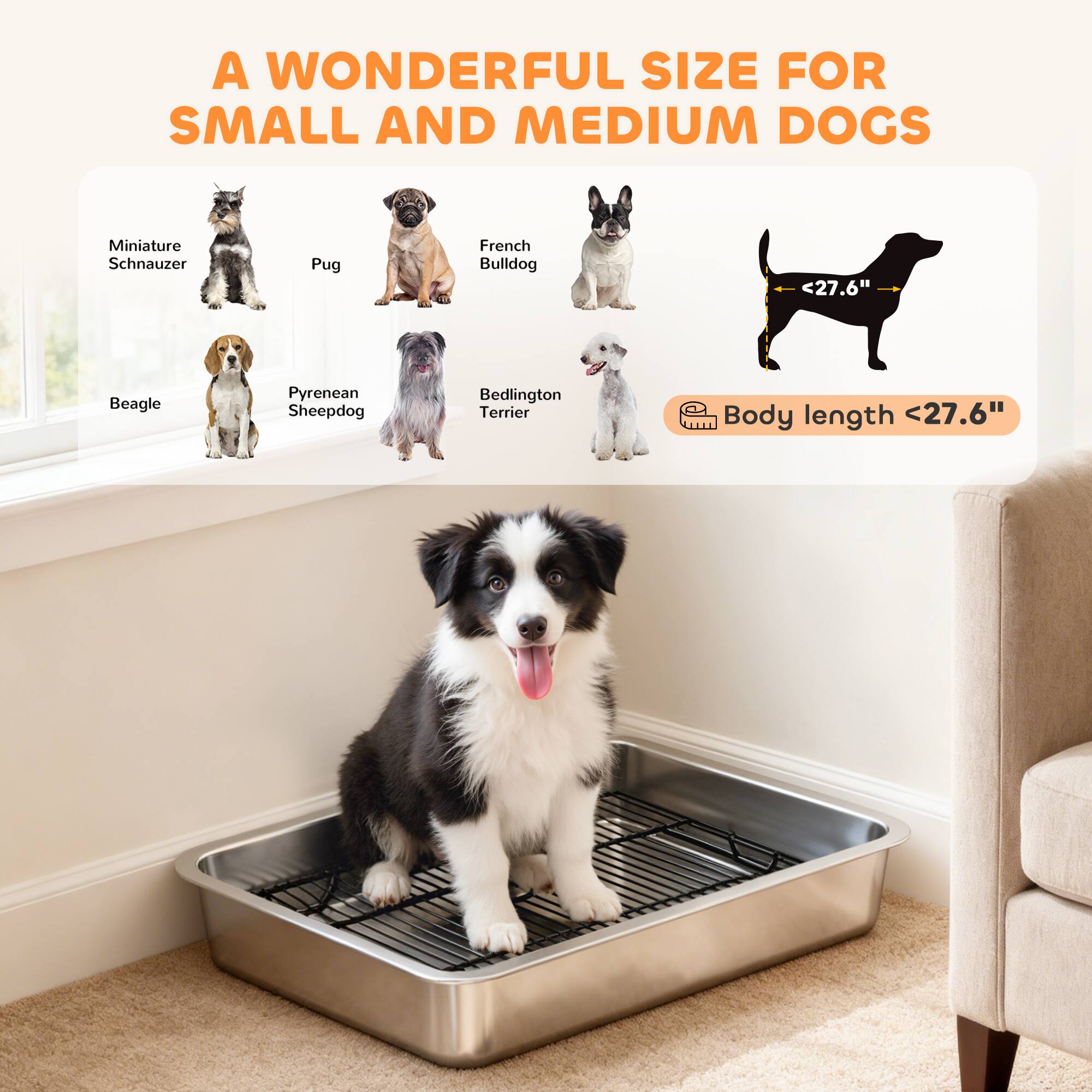A WONDERFUL SIZE FOR SMALL AND MEDIUM DOGS

Miniature Schnauzer  
Pug  
French Bulldog  
Beagle  
Pyrenean Sheepdog  
Bedlington Terrier  

Body length <27.6"