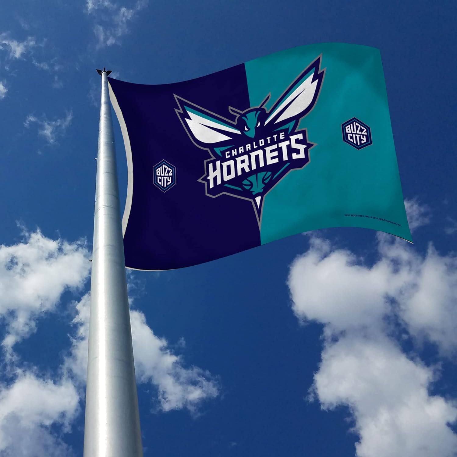 BUZZ CITY CHARLOTTE HORNETS