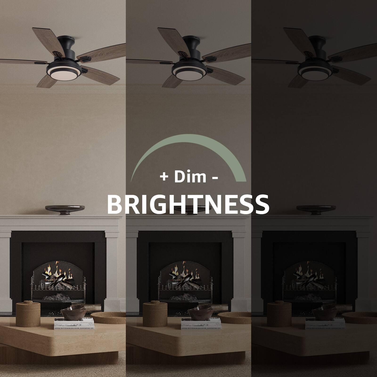 + Dim -  
BRIGHTNESS