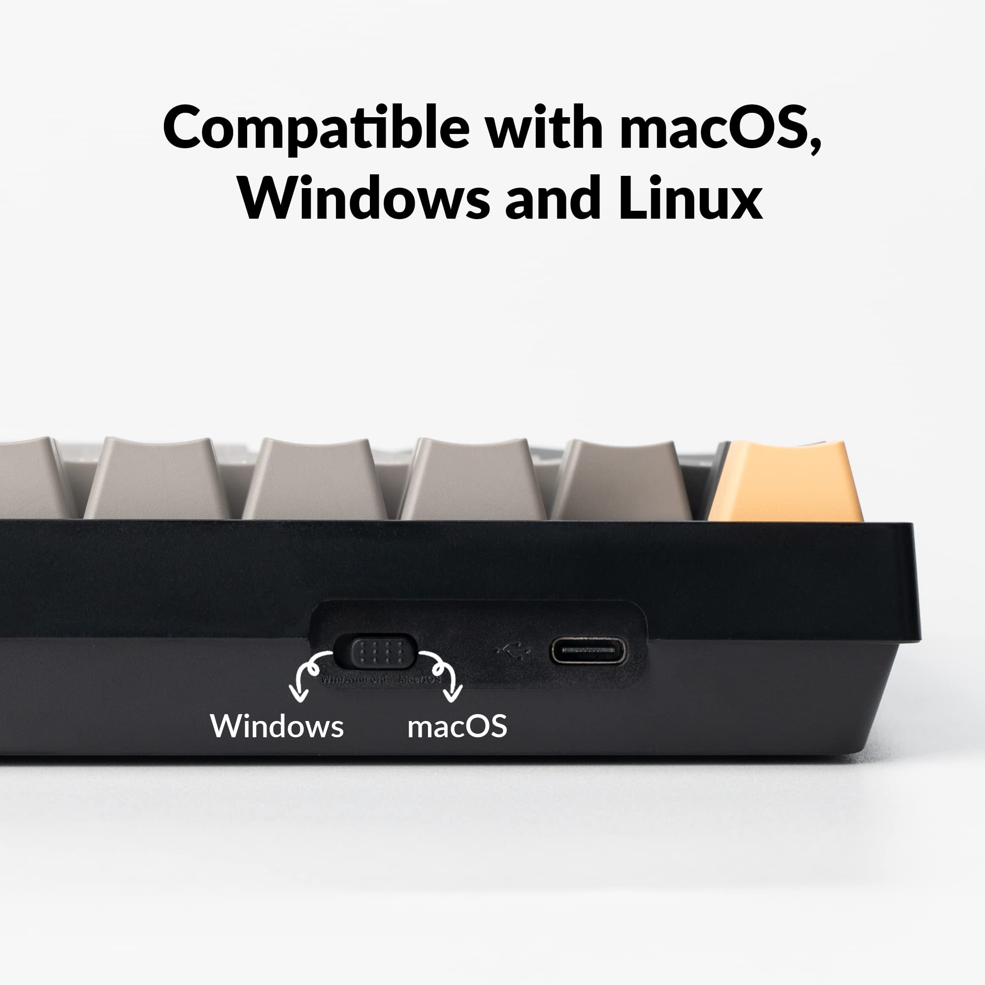 Compatible with macOS, Windows and Linux

Windows macOS