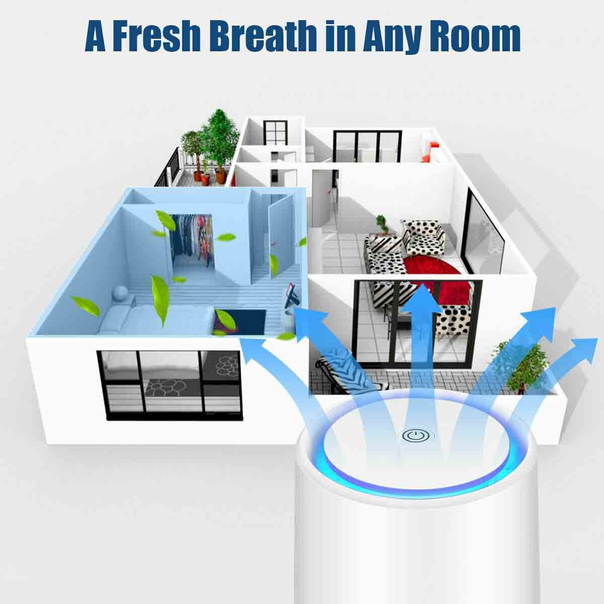 A Fresh Breath in Any Room