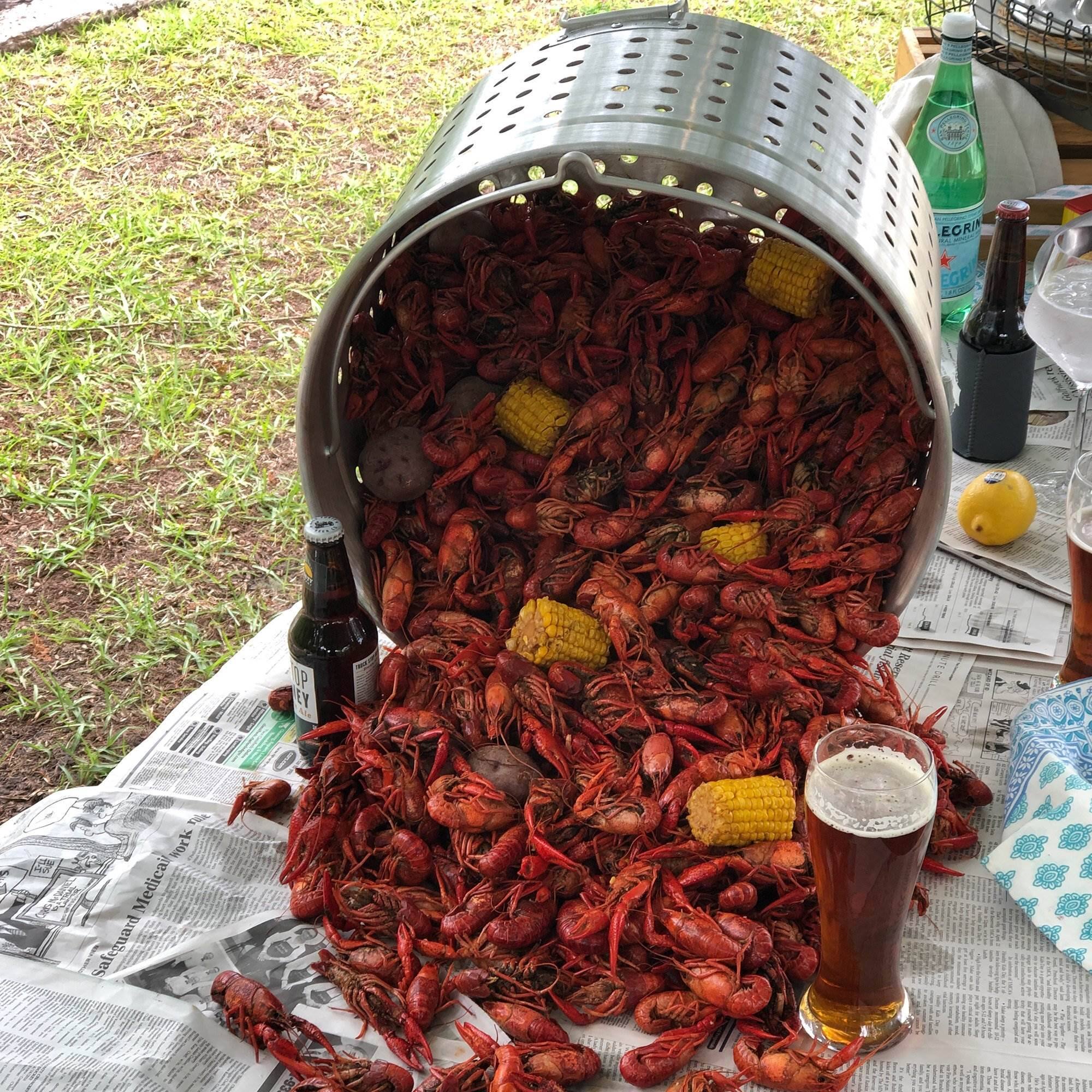 Safeguard CED York Medical F