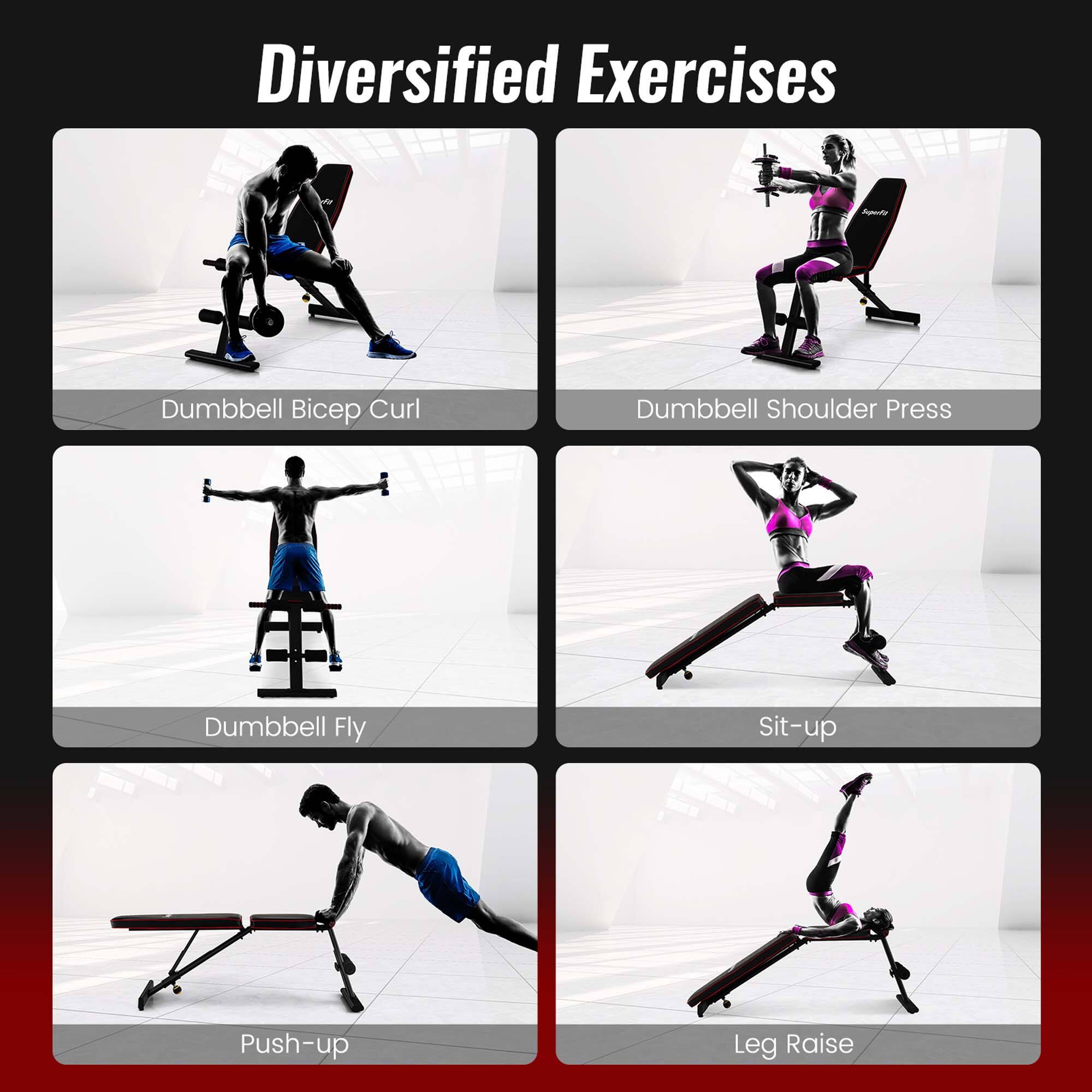 Diversified Exercises: Dumbbell Bicep Curl, Dumbbell Shoulder Press, Dumbbell Fly, Sit-up, Push-up, Leg Raise