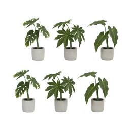 BreeBe - Assorted Foliage Plant in Grey Pot (Set of 6) - Green, Brown, Grey