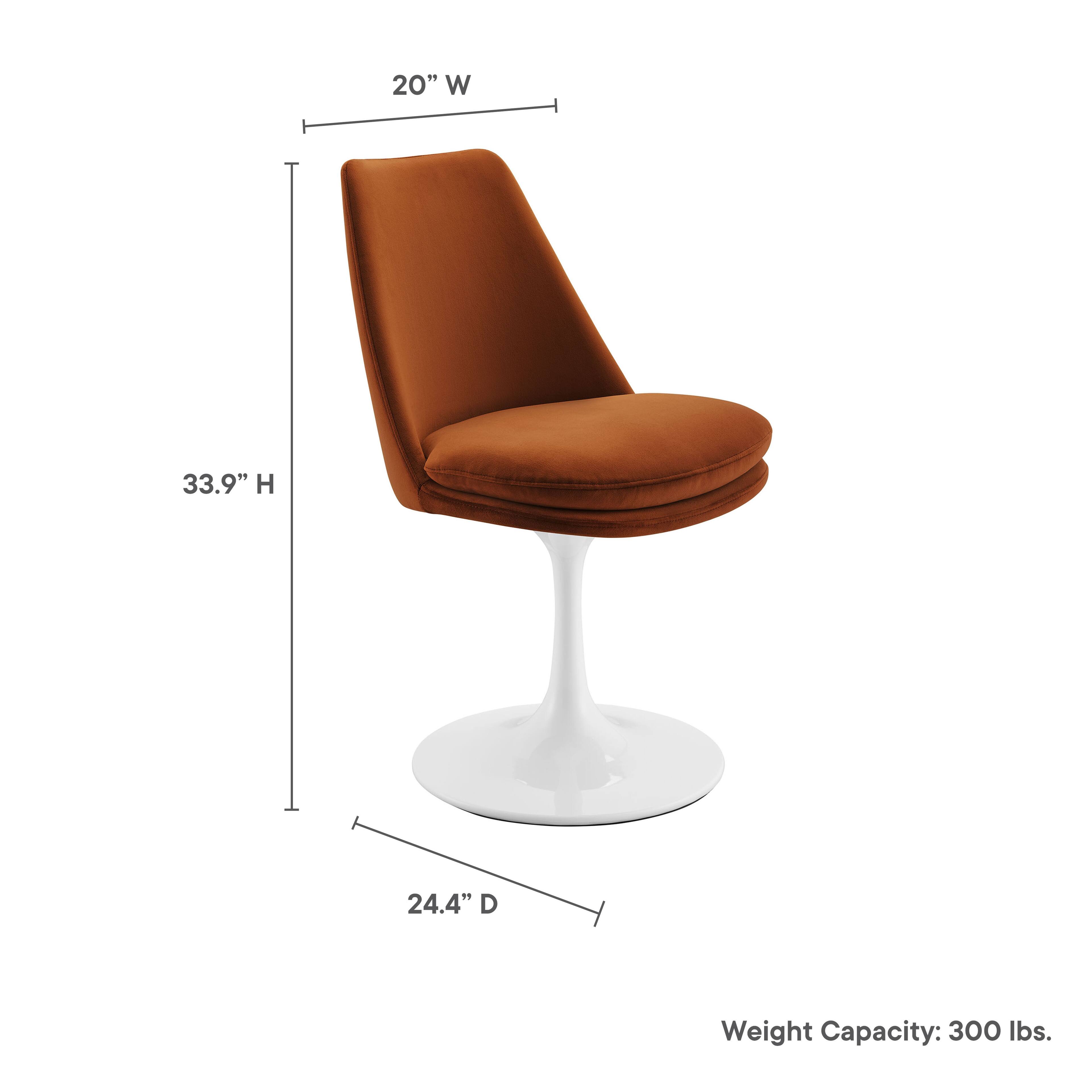 20" W x 33.9" H x 24.4" D  
Weight Capacity: 300 lbs.