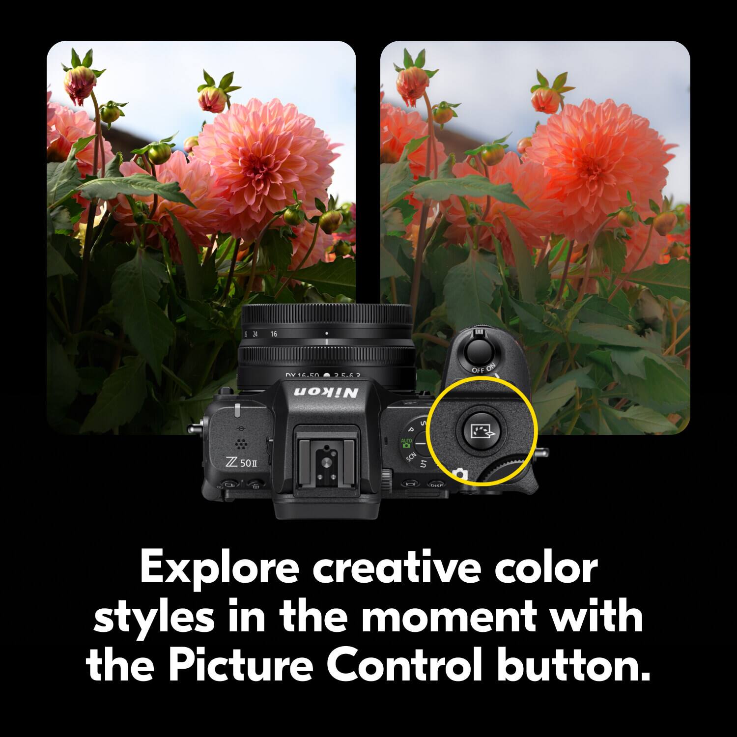 Explore creative color styles in the moment with the Picture Control button.
