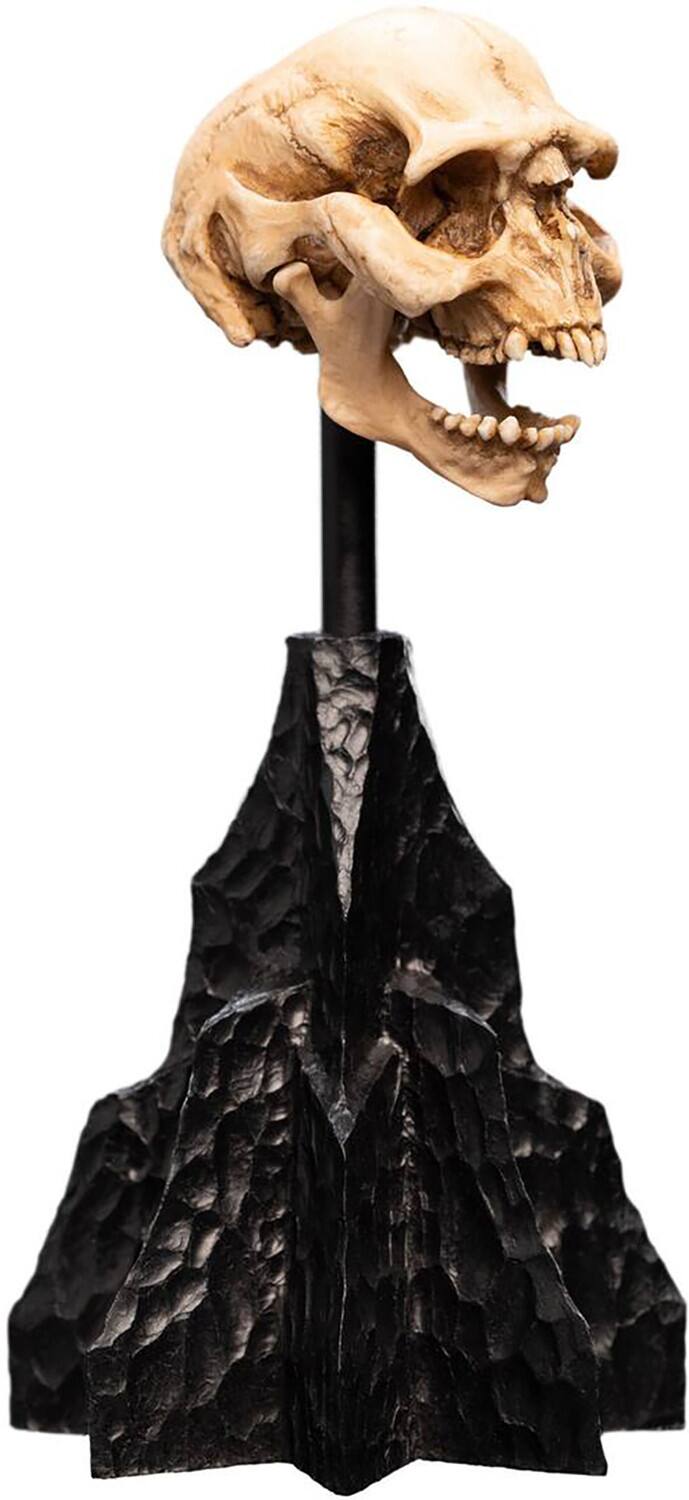 Alt View 2. Weta Workshop - WETA Workshop Polystone - The Lord of the Rings Trilogy - Skull of a Moria Orc Polystone Statue   - COLLECTIBLES - Multicolor.