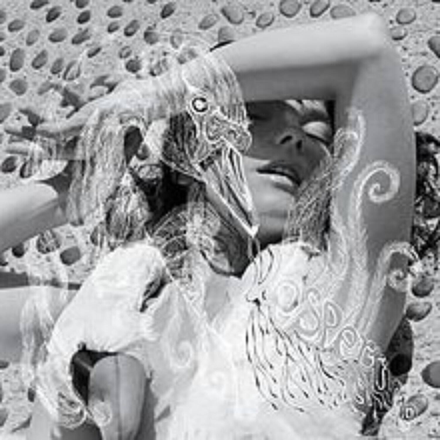 Front. Bjork - Vespertine   - CASSETTES.